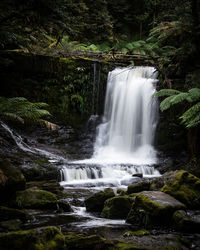 View of waterfall in forest