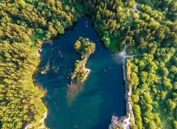 High angle view of sea and trees