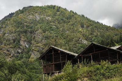 House amidst trees and plants in forest against sky