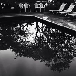 Reflection of trees in water