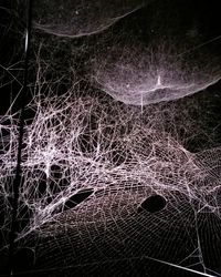 Close-up of illuminated star field