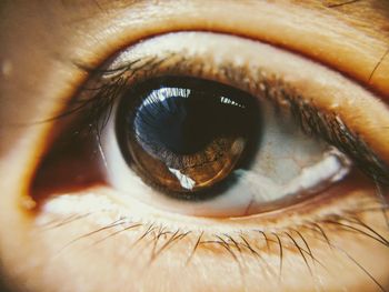 Extreme close-up of human eye