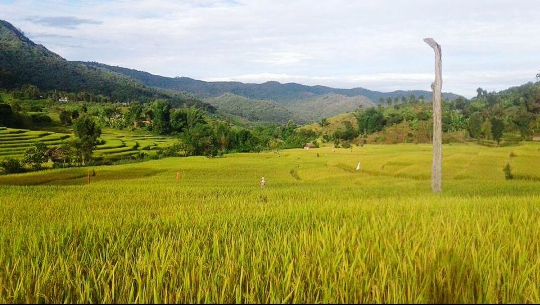 SCENIC VIEW OF AGRICULTURAL FIELDS AGAINST MOUNTAIN RANGE