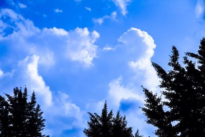 Low angle view of silhouette trees against blue sky