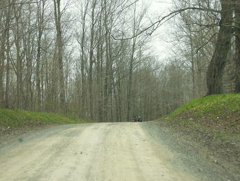 Road amidst trees in forest