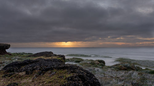 Scenic view of sea at sunset