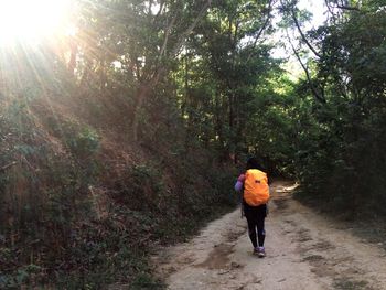 Rear view of woman walking on footpath amidst trees at forest