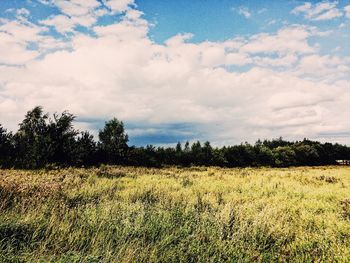 Scenic view of field against sky