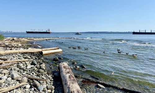 Scenic view of sea against clear sky