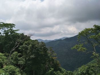 Scenic view of trees and mountains against sky