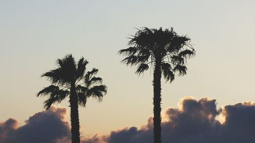 Silhouette palm trees against sky during sunset