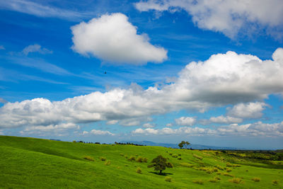 Scenic view of green landscape against sky