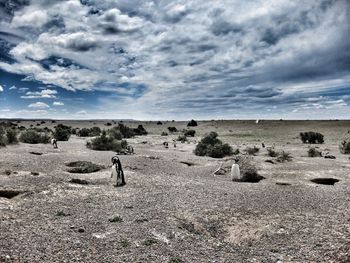 Scenic view of desert against sky