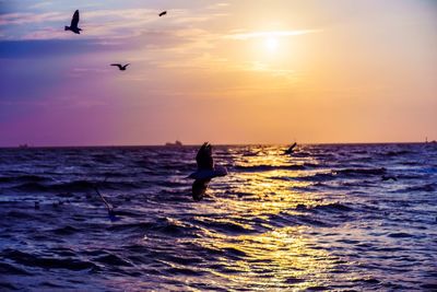 Silhouette birds flying over sea against sky during sunset