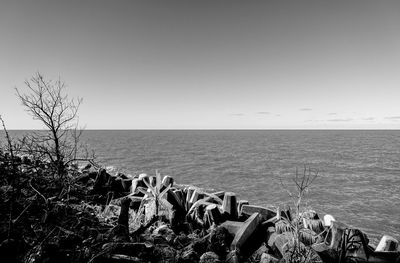 Scenic view of sea against clear sky