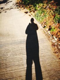 Rear view of silhouette man walking on floor
