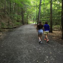 Rear view of girls walking in forest