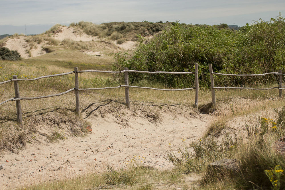 plant, land, landscape, nature, fence, environment, no people, soil, security, sky, protection, grass, scenics - nature, rural area, tree, tranquility, outdoors, field, sand, day, wall, non-urban scene, beauty in nature, tranquil scene, gate, natural environment, rural scene, growth