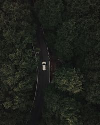 Aerial view of road amidst trees in forest