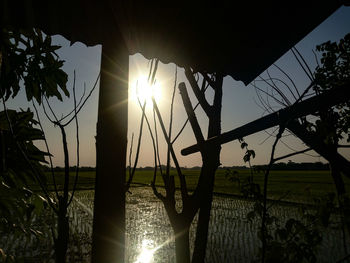 Silhouette trees on field against sky during sunset