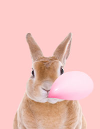 Bunny with balloon