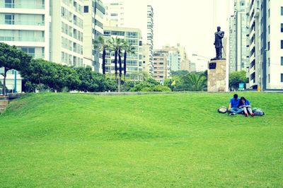 View of lawn in lawn