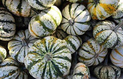 Full frame shot of pumpkins for sale