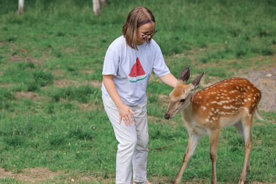 A girl feeding cute spotted deer bambi at petting zoo. baby fawn deer playing with people 