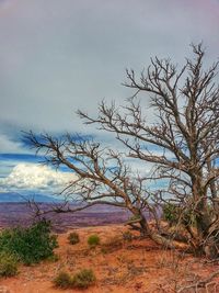 Scenic view of landscape against cloudy sky