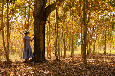 Rear view of man standing in forest