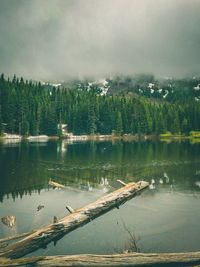 Scenic view of lake in forest against sky