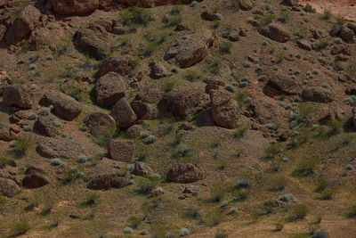 Full frame shot of rocks on land