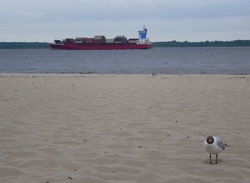 View of sea against sky