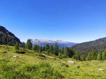 Scenic view of mountains against clear blue sky