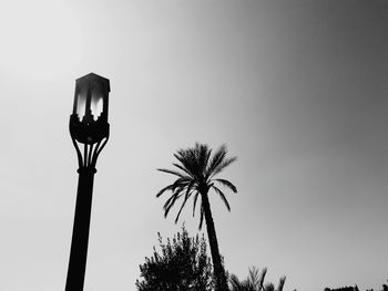 Low angle view of street light and palm tree against clear sky