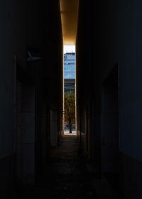 Empty alley amidst buildings in city