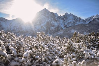 Scenic view of snowcapped mountains against sky