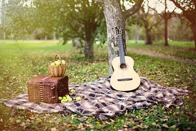 Guitar by fruit baskets in park