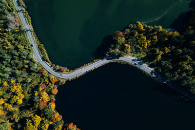 High angle view of road by trees