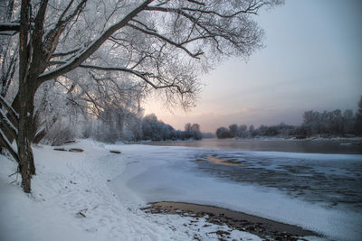Bare trees on snow covered landscape against sky