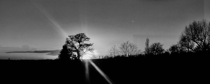 Silhouette trees on road against sky