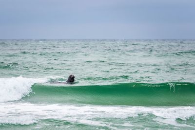 Waves splashing on rocks