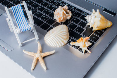 Close-up high angle view of seashells and toy deck chair on laptop