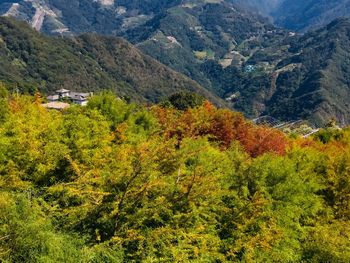 High angle view of trees and mountains