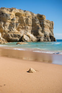 Praia da coelha