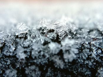 Close-up of snowflakes on snow