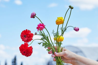 Close-up of hand holding flowering plant