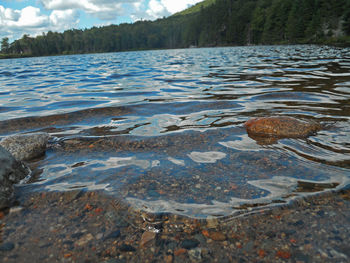 Surface level of lake in forest against sky