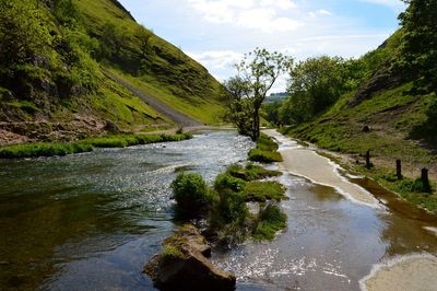 River flowing amidst trees against sky