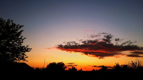 Low angle view of silhouette trees against sky during sunset